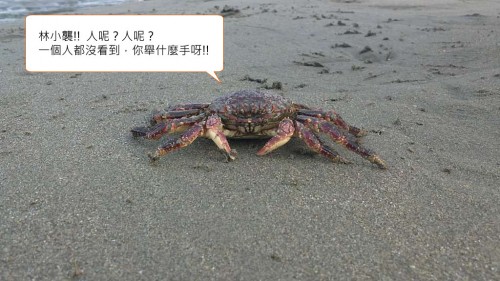 Crab11