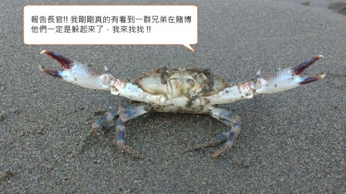 Crab12