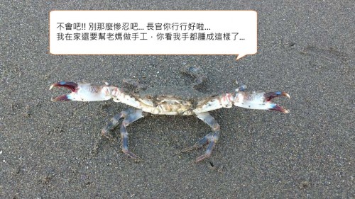 Crab14