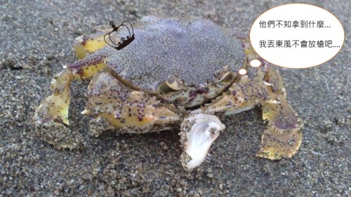 Crab6